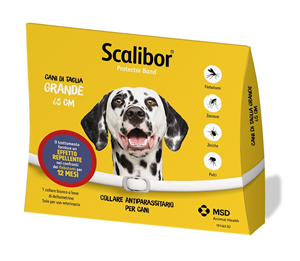 SCALIBOR PROTECTOR BAND*BI65CM - farmaciaverde.it