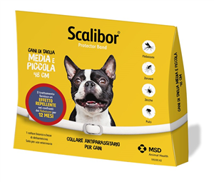 SCALIBOR PROTECTOR BAND*BI48CM - farmaciaverde.it