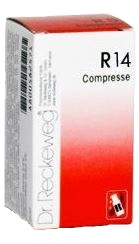 RECKEWEG R14 100 COMPRESSE - farmaciaverde.it