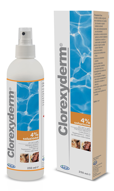 CLOREXYDERM SOLUZIONE 4% 250 ML - farmaciaverde.it
