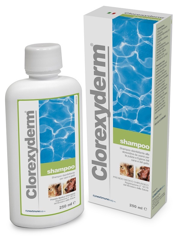 CLOREXYDERM SHAMPOO 250 ML - farmaciaverde.it