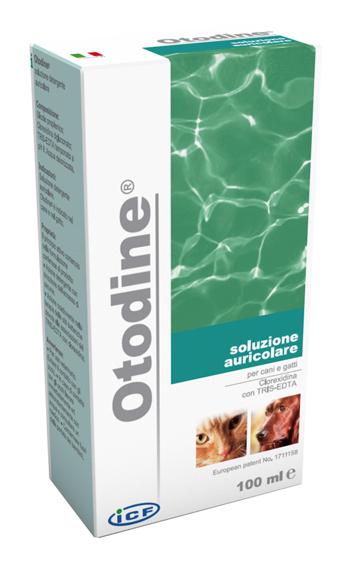 OTODINE DETERGENTE LIQUIDO 100 ML - farmaciaverde.it