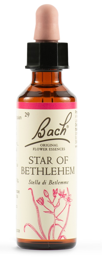STAR OF BETHL ORIG 20 ML - farmaciaverde.it