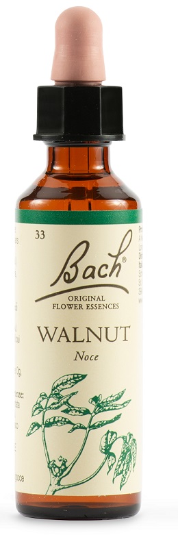 WALNUT BACH ORIG 20 ML - farmaciaverde.it