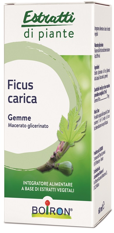 FICUS CARICA BOIRON MACERATO GLICERICO 60 ML - farmaciaverde.it