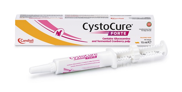CYSTOCURE FORTE PASTA 15 ML - farmaciaverde.it