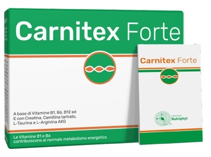 CARNITEX FORTE 14 BUSTINE - farmaciaverde.it